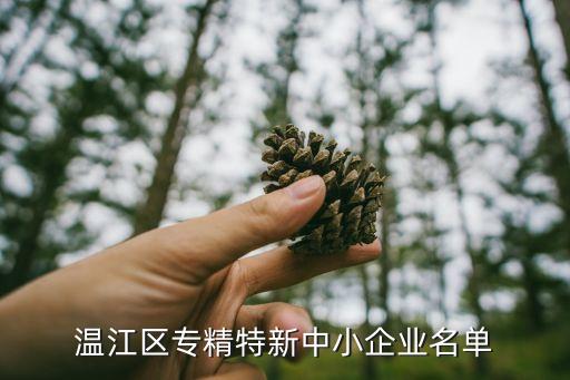 溫江區(qū)專精特新中小企業(yè)名單