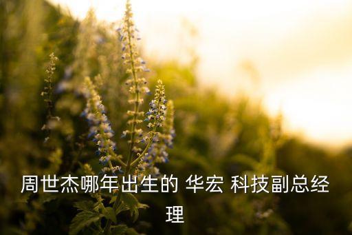 華宏科技公司圖片,科技公司logo設(shè)計(jì)圖片