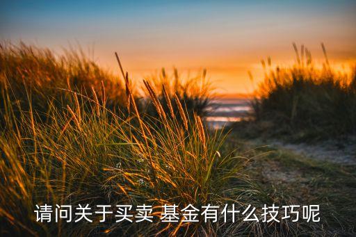 請(qǐng)問(wèn)關(guān)于買(mǎi)賣(mài) 基金有什么技巧呢