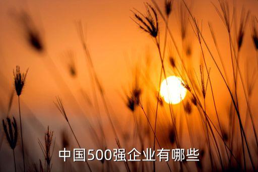 中國500強(qiáng)企業(yè)有哪些