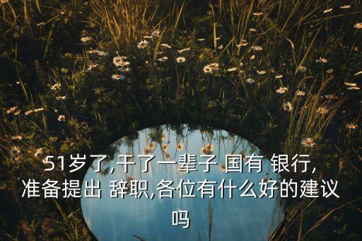 51歲了,干了一輩子 國有 銀行,準(zhǔn)備提出 辭職,各位有什么好的建議嗎