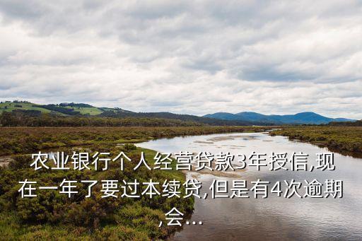  農(nóng)業(yè)銀行個(gè)人經(jīng)營貸款3年授信,現(xiàn)在一年了要過本續(xù)貸,但是有4次逾期,會(huì)...