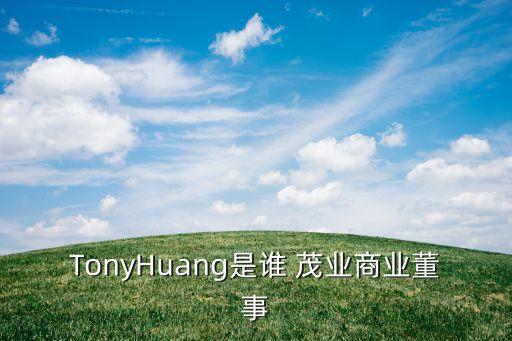 TonyHuang是誰 茂業(yè)商業(yè)董事