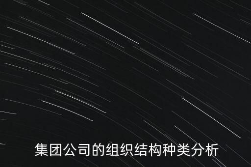  集團公司的組織結(jié)構(gòu)種類分析