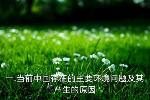 一.當(dāng)前中國(guó)存在的主要環(huán)境問(wèn)題及其產(chǎn)生的原因