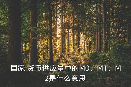 國家 貨幣供應(yīng)量中的M0、M1、M2是什么意思