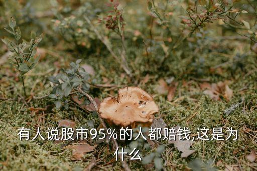 有人說(shuō)股市95%的人都賠錢(qián),這是為什么