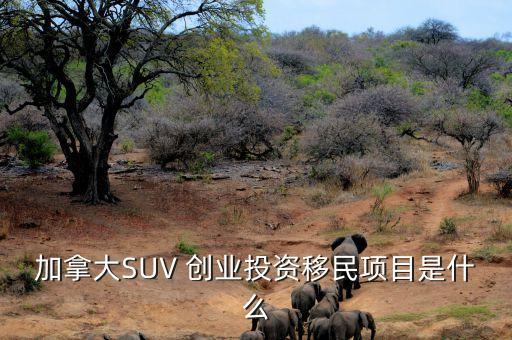 加拿大SUV 創(chuàng)業(yè)投資移民項目是什么