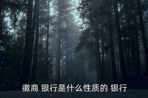  徽商 銀行是什么性質(zhì)的 銀行