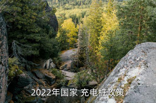 2022年國家 充電樁政策