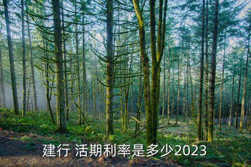 建行 活期利率是多少2023