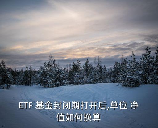 ETF 基金封閉期打開后,單位 凈值如何換算