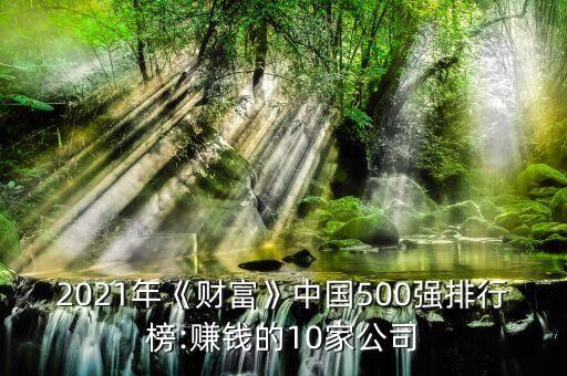 2021年《財(cái)富》中國(guó)500強(qiáng)排行榜:賺錢的10家公司