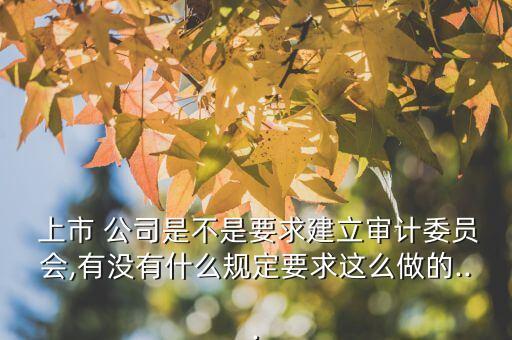  上市 公司是不是要求建立審計(jì)委員會(huì),有沒(méi)有什么規(guī)定要求這么做的...