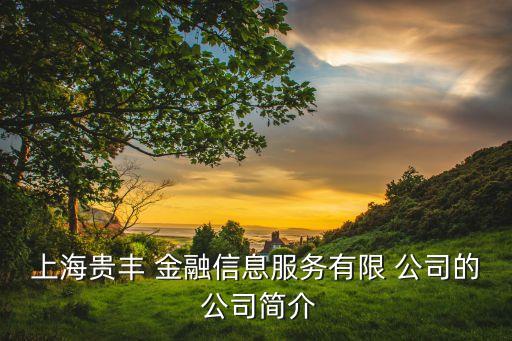 上海貴豐 金融信息服務(wù)有限 公司的 公司簡(jiǎn)介