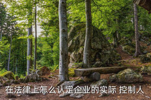 實(shí)際控制公司,gp和lp誰(shuí)實(shí)際控制公司