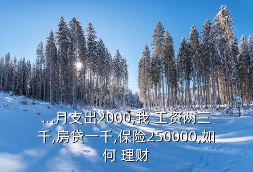 ...月支出2000,我 工資兩三千,房貸一千,保險250000,如何 理財