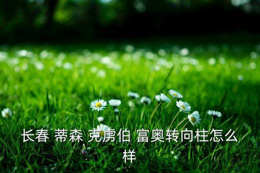 蒂森克虜伯富奧遼陽(yáng)彈簧有限公司