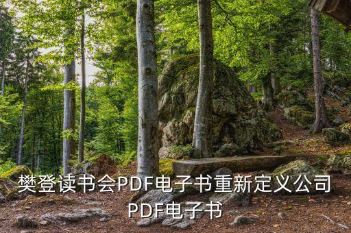 樊登讀書會(huì)PDF電子書重新定義公司PDF電子書