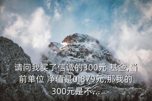 請問我買了信誠的300元 基金,當(dāng)前單位 凈值是0.879元,那我的300元是不...