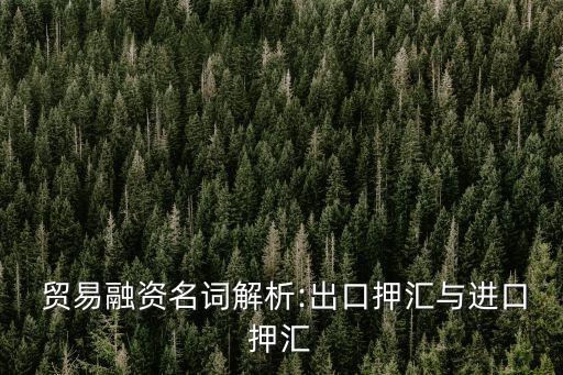  貿易融資名詞解析:出口押匯與進口押匯