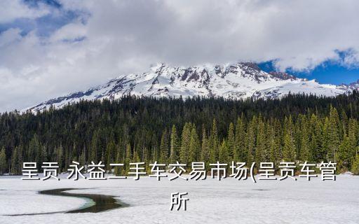 呈貢 永益二手車交易市場(呈貢車管所