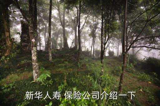 敦化新華保險公司地址,敦化太平洋保險公司電話