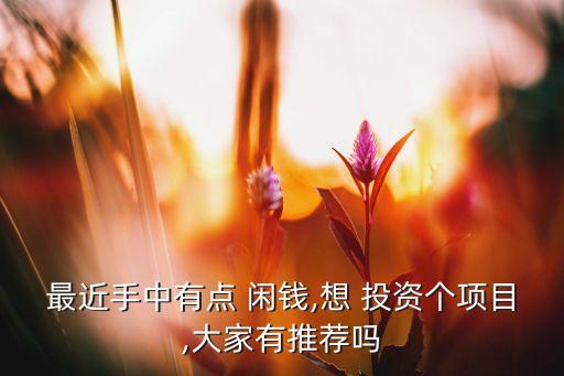 最近手中有點(diǎn) 閑錢(qián),想 投資個(gè)項(xiàng)目,大家有推薦嗎