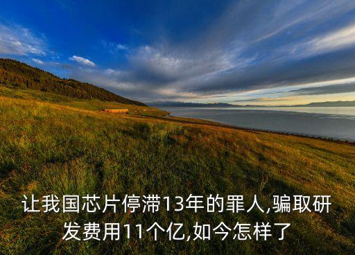 讓我國芯片停滯13年的罪人,騙取研發(fā)費(fèi)用11個(gè)億,如今怎樣了