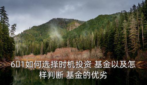 6?1如何選擇時機投資 基金以及怎樣判斷 基金的優(yōu)劣