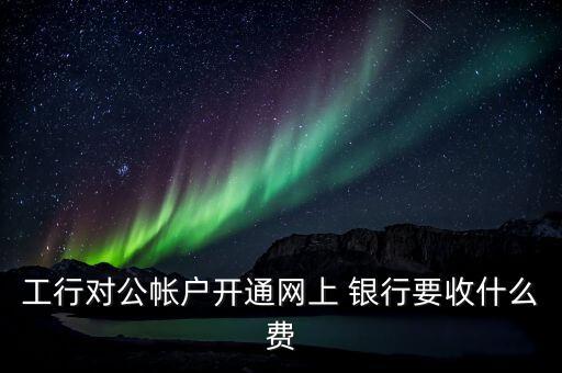 工行對公帳戶開通網(wǎng)上 銀行要收什么費