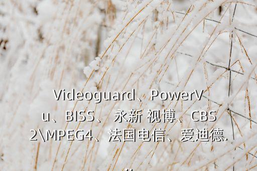 Videoguard、PowerVu、BISS、 永新 視博、CBS2\MPEG4、法國電信、愛迪德...