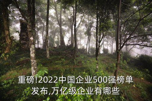 重磅!2022中國企業(yè)500強(qiáng)榜單發(fā)布,萬億級(jí)企業(yè)有哪些