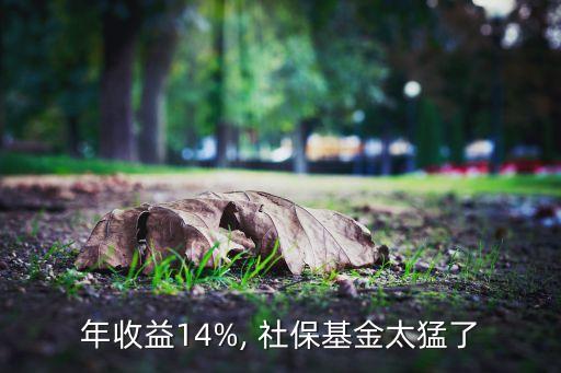 年收益14%, 社?；鹛土? class=