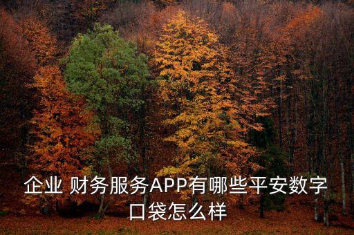 企業(yè) 財(cái)務(wù)服務(wù)APP有哪些平安數(shù)字口袋怎么樣