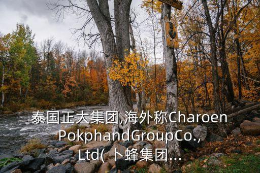 泰國(guó)正大集團(tuán),海外稱CharoenPokphandGroupCo.,Ltd( 卜蜂集團(tuán)...