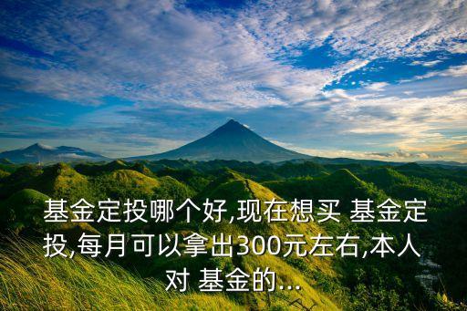  基金定投哪個(gè)好,現(xiàn)在想買 基金定投,每月可以拿出300元左右,本人對 基金的...