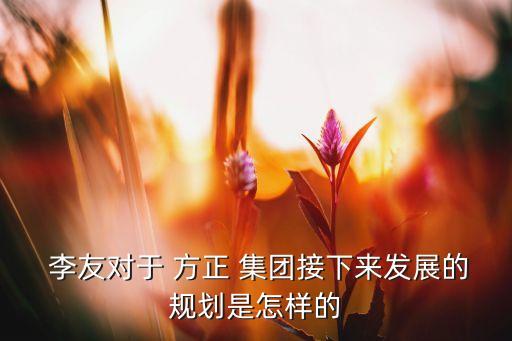  李友對(duì)于 方正 集團(tuán)接下來(lái)發(fā)展的規(guī)劃是怎樣的