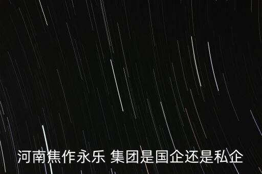 河南焦作永樂 集團是國企還是私企