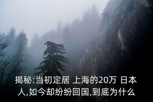 揭秘:當(dāng)初定居 上海的20萬 日本人,如今卻紛紛回國,到底為什么