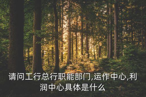 請(qǐng)問(wèn)工行總行職能部門,運(yùn)作中心,利潤(rùn)中心具體是什么