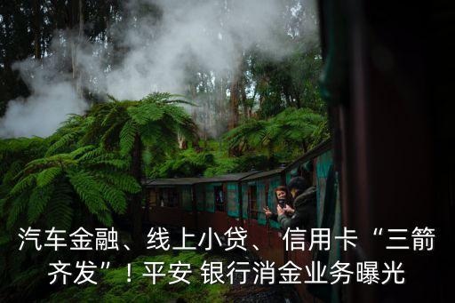 汽車金融、線上小貸、 信用卡“三箭齊發(fā)”! 平安 銀行消金業(yè)務(wù)曝光