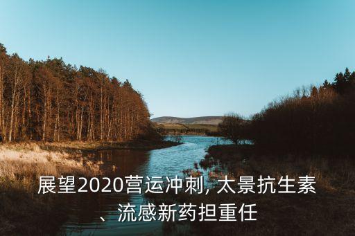 展望2020營(yíng)運(yùn)沖刺, 太景抗生素、流感新藥擔(dān)重任