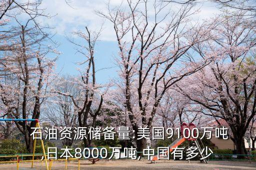  石油資源儲備量:美國9100萬噸,日本8000萬噸,中國有多少