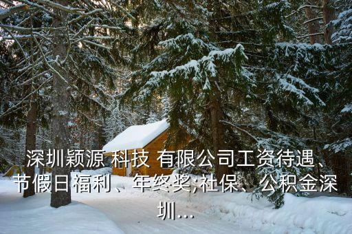 深圳穎源 科技 有限公司工資待遇、節(jié)假日福利、年終獎;社保、公積金深圳...