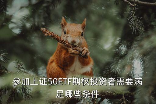 參加上證50ETF期權(quán)投資者需要滿足哪些條件