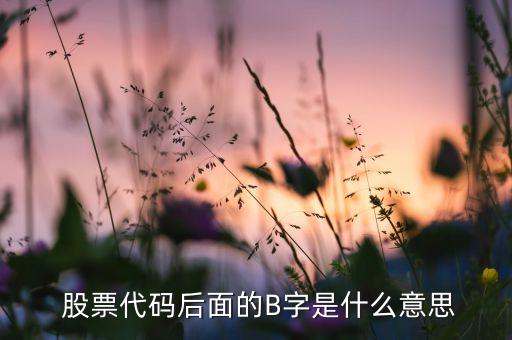  股票代碼后面的B字是什么意思