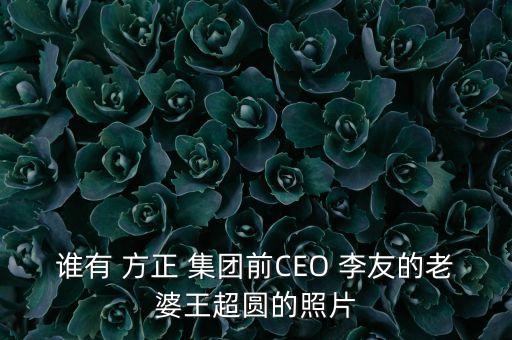 誰(shuí)有 方正 集團(tuán)前CEO 李友的老婆王超圓的照片