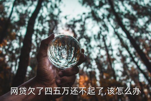 網(wǎng)貸欠了四五萬(wàn)還不起了,該怎么辦