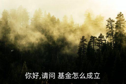 你好,請(qǐng)問(wèn) 基金怎么成立